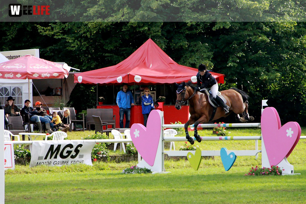 Hofer Springtage 2014