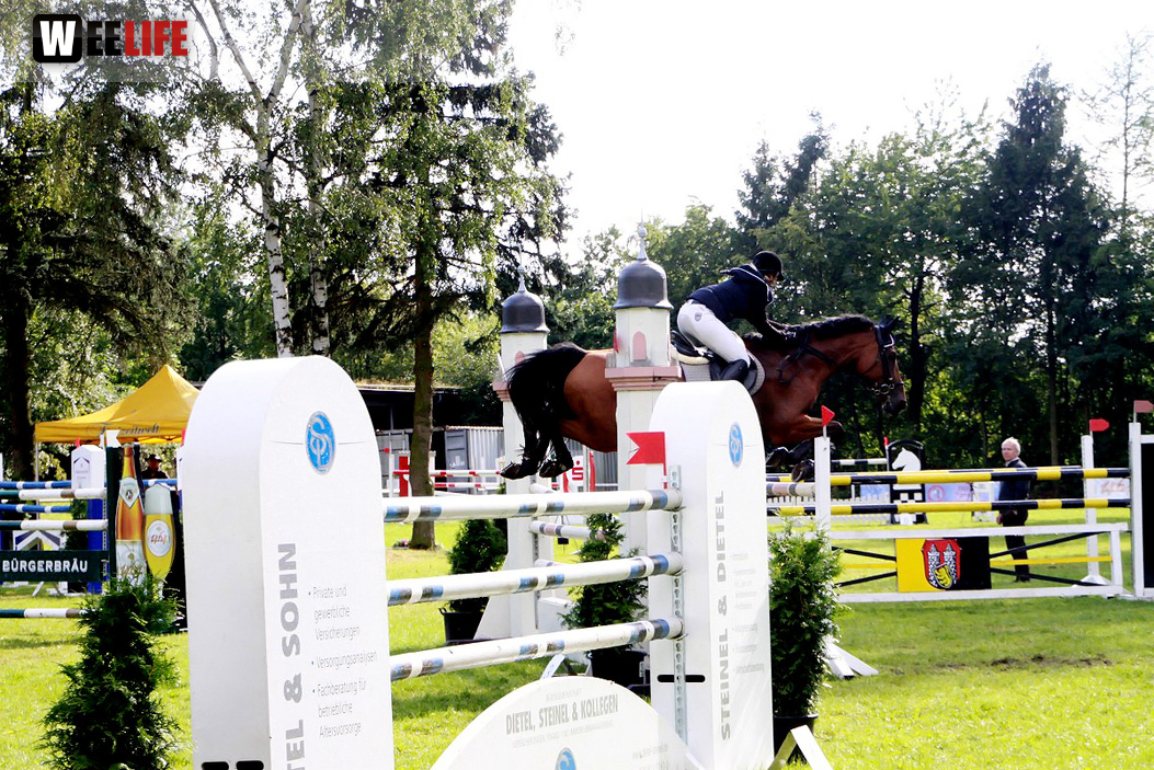 Hofer Springtage 2014