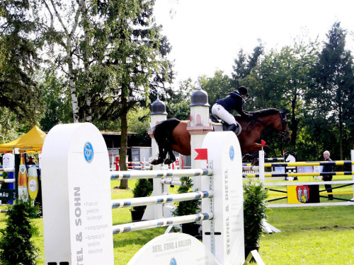 Hofer Springtage 2014 – Foto 53