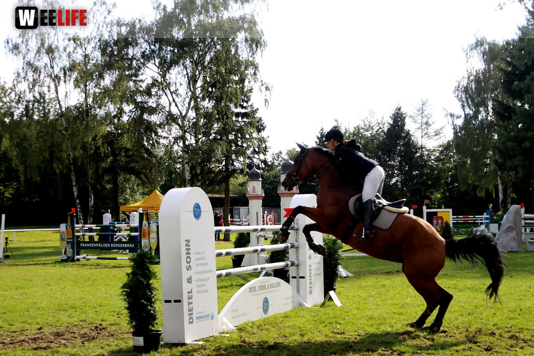 Hofer Springtage 2014