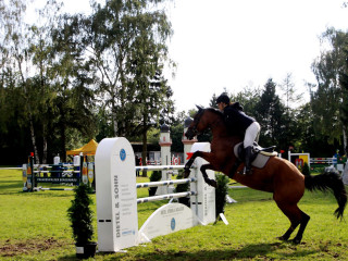 Foto 98870 im Album