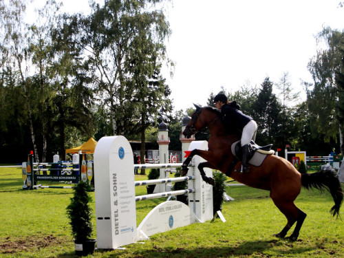 Hofer Springtage 2014 – Foto 54