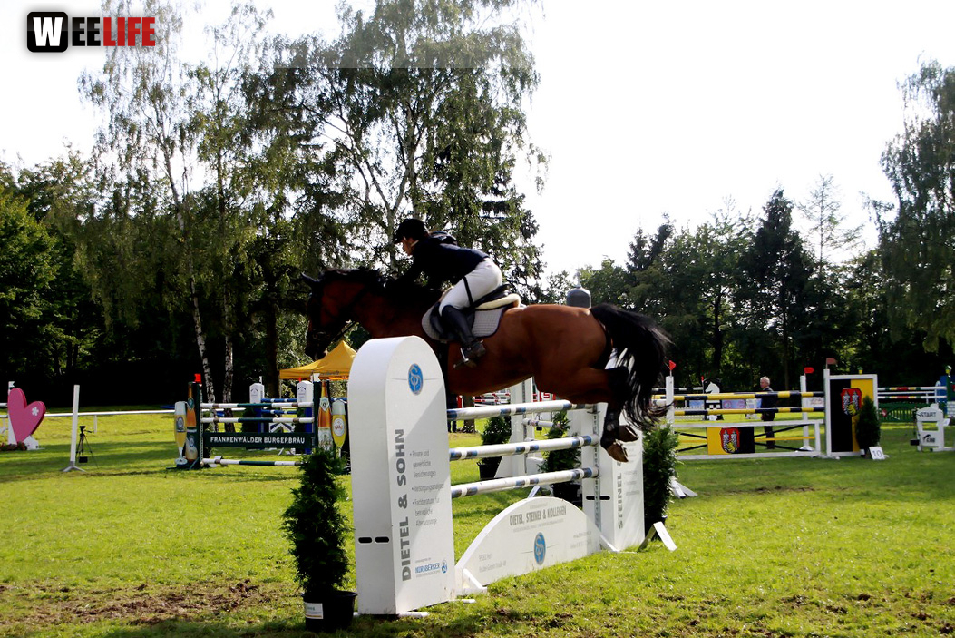 Hofer Springtage 2014
