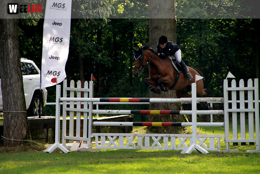 Hofer Springtage 2014