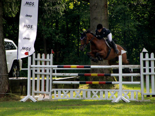 Foto 98873 im Album