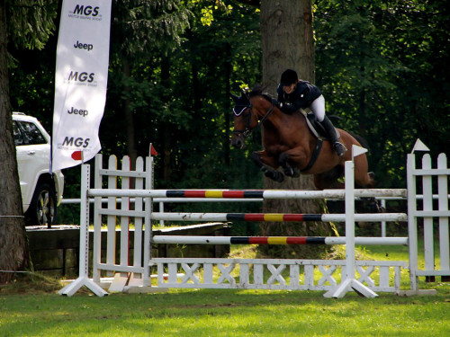 Hofer Springtage 2014 – Foto 57