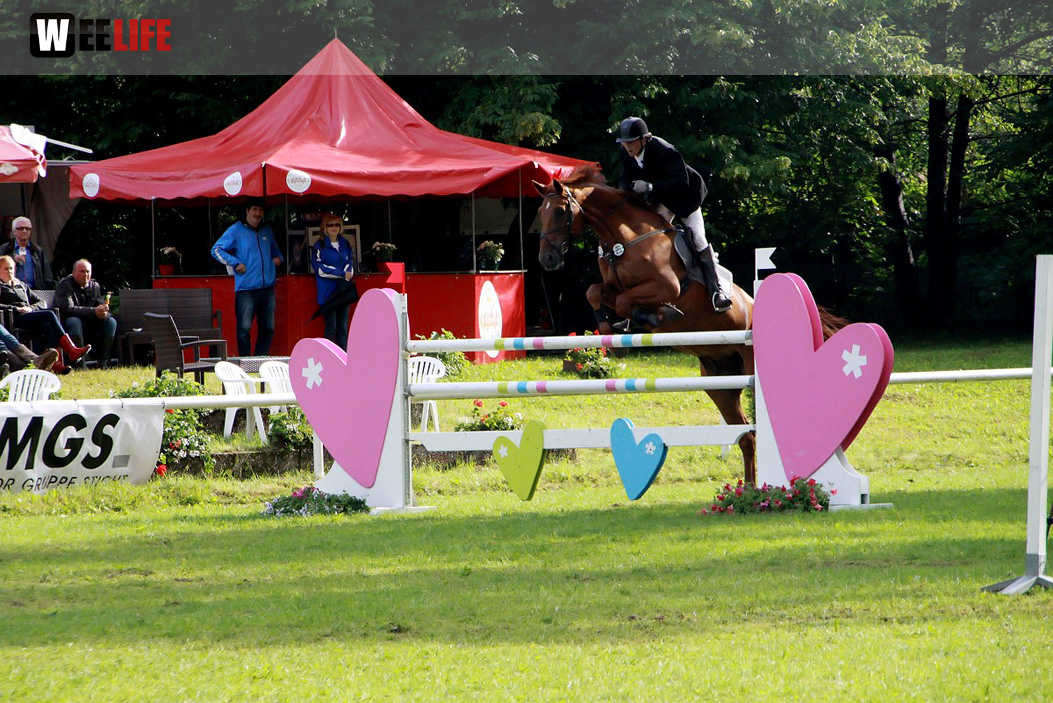 Hofer Springtage 2014
