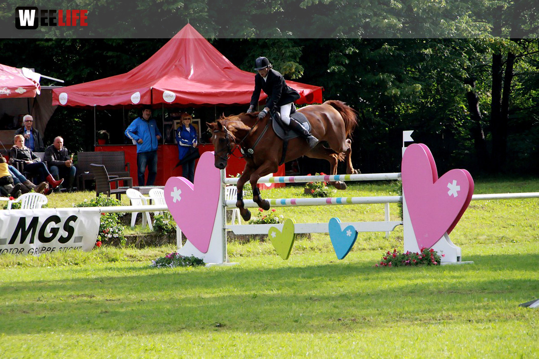 Hofer Springtage 2014