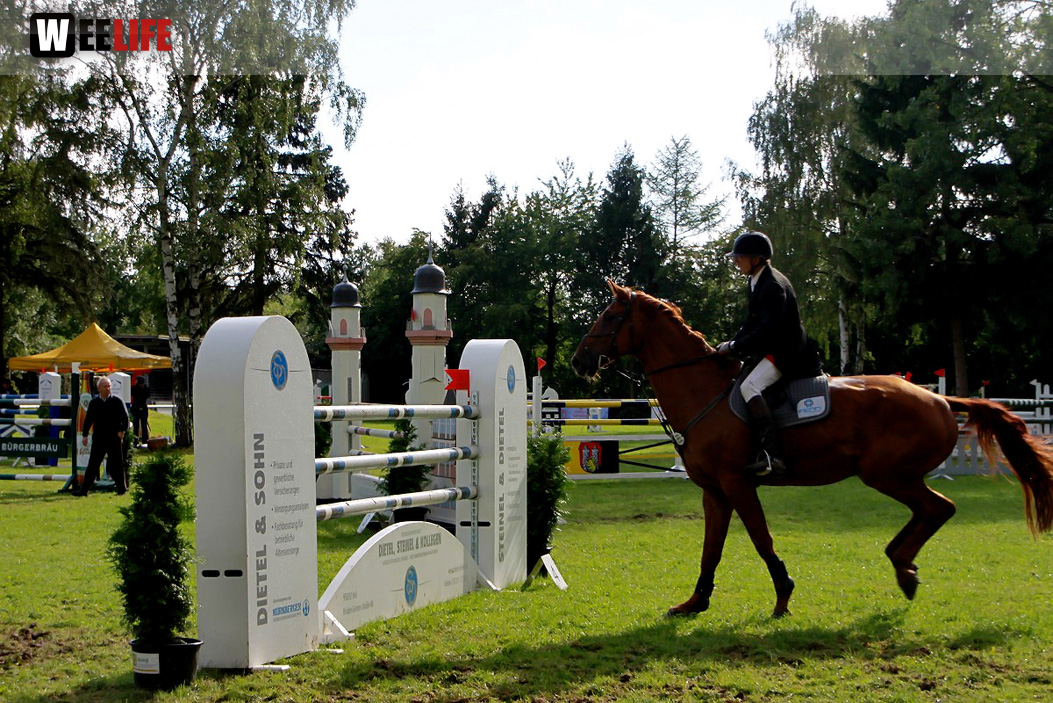 Hofer Springtage 2014