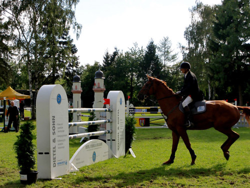 Hofer Springtage 2014 – Foto 61