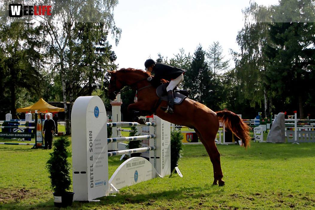 Hofer Springtage 2014