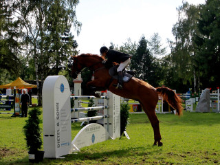 Foto 98878 im Album