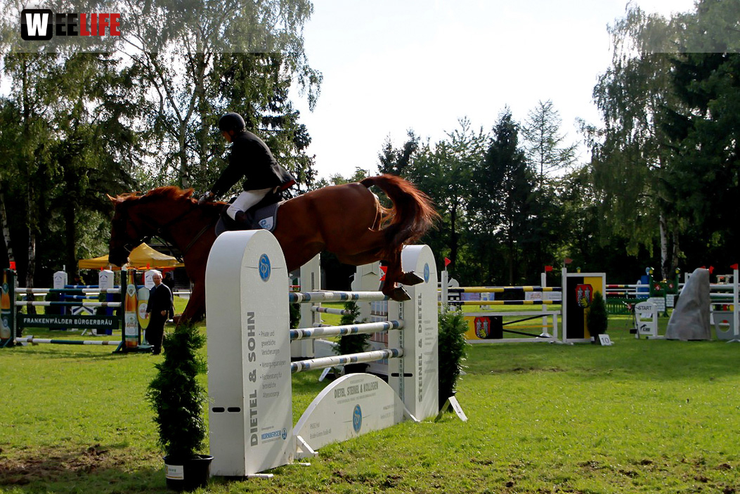 Hofer Springtage 2014
