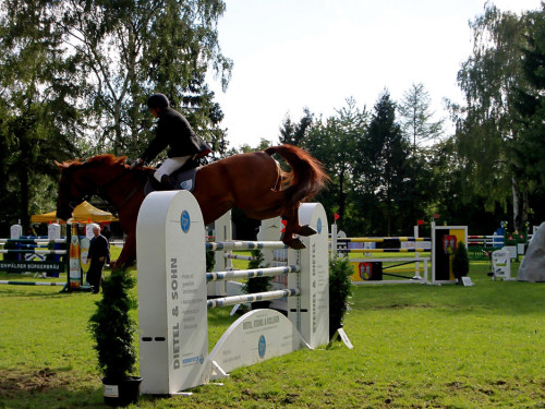 Hofer Springtage 2014 – Foto 63