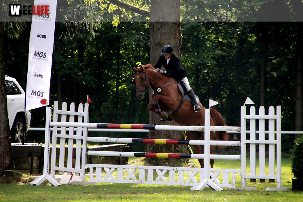 Hofer Springtage 2014