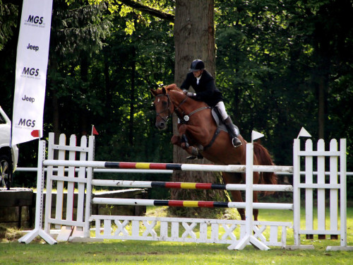 Hofer Springtage 2014 – Foto 64
