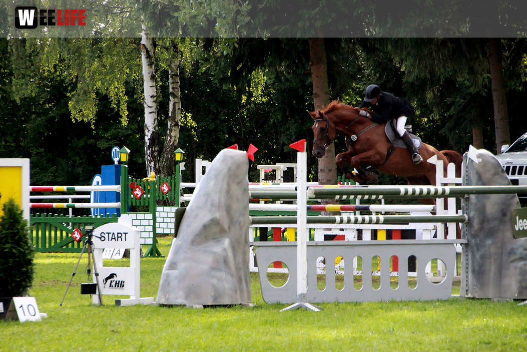 Hofer Springtage 2014