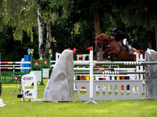 Foto 98881 im Album