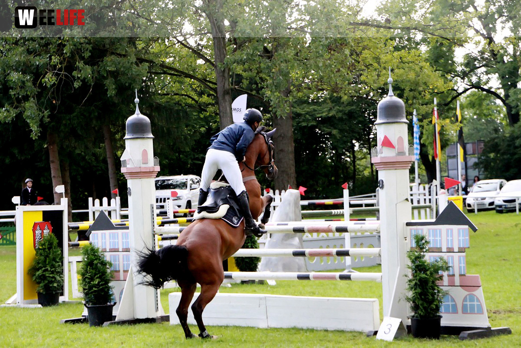 Hofer Springtage 2014