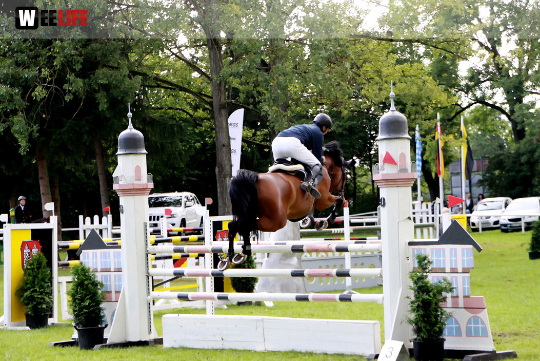 Hofer Springtage 2014