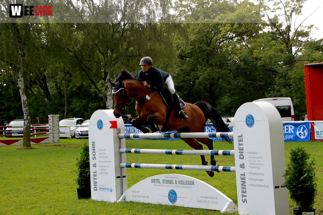 Hofer Springtage 2014