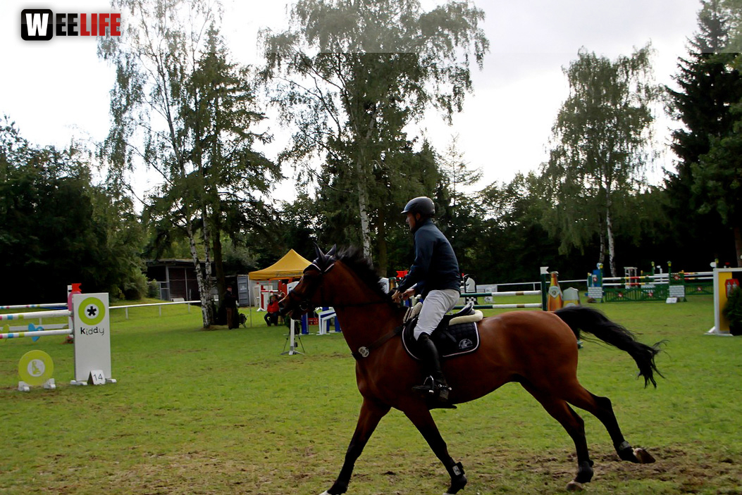 Hofer Springtage 2014