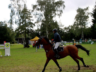 Foto 98893 im Album