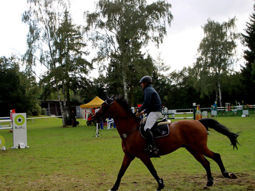 Hofer Springtage 2014 – Foto 77