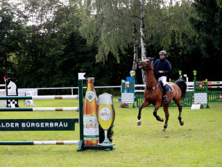 Foto 98894 im Album