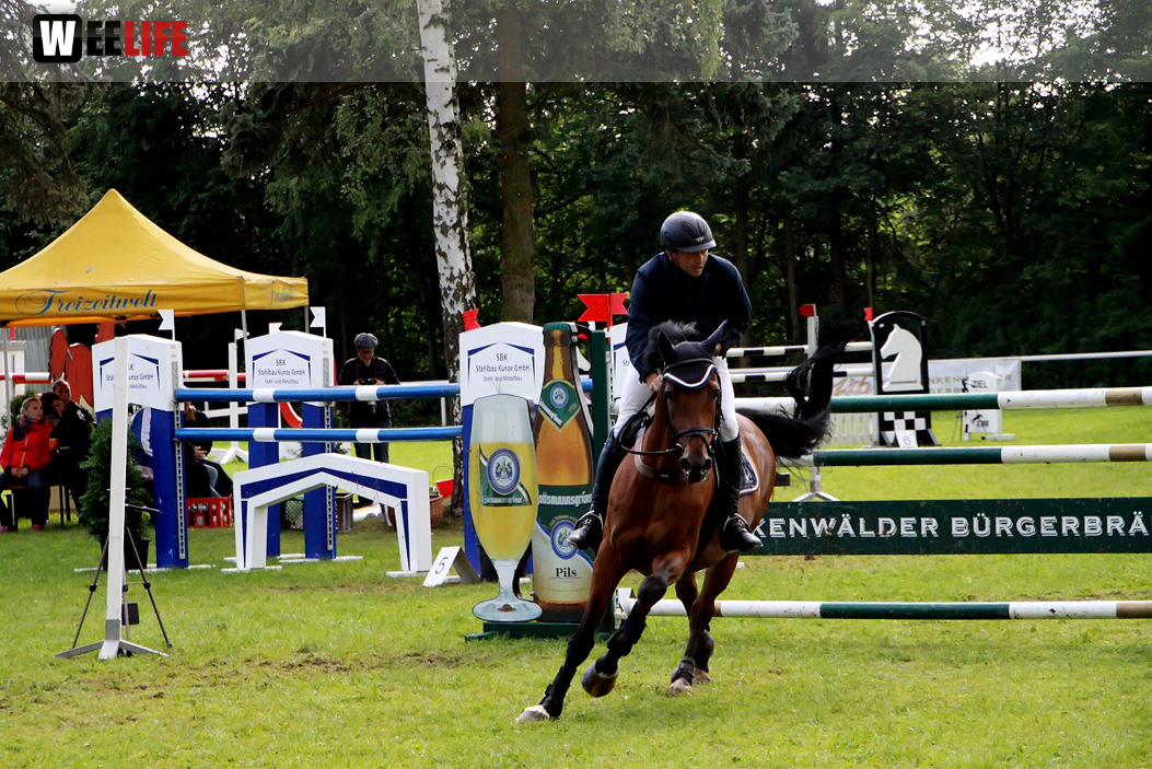 Hofer Springtage 2014