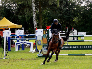 Foto 98896 im Album