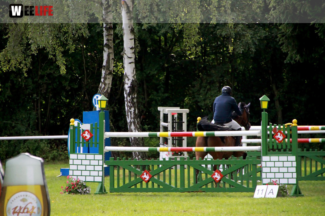 Hofer Springtage 2014