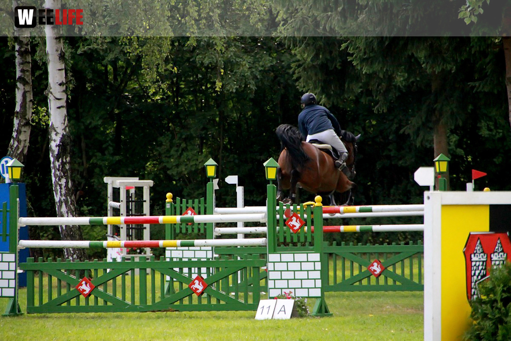 Hofer Springtage 2014