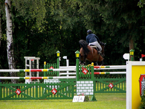 Hofer Springtage 2014 – Foto 82