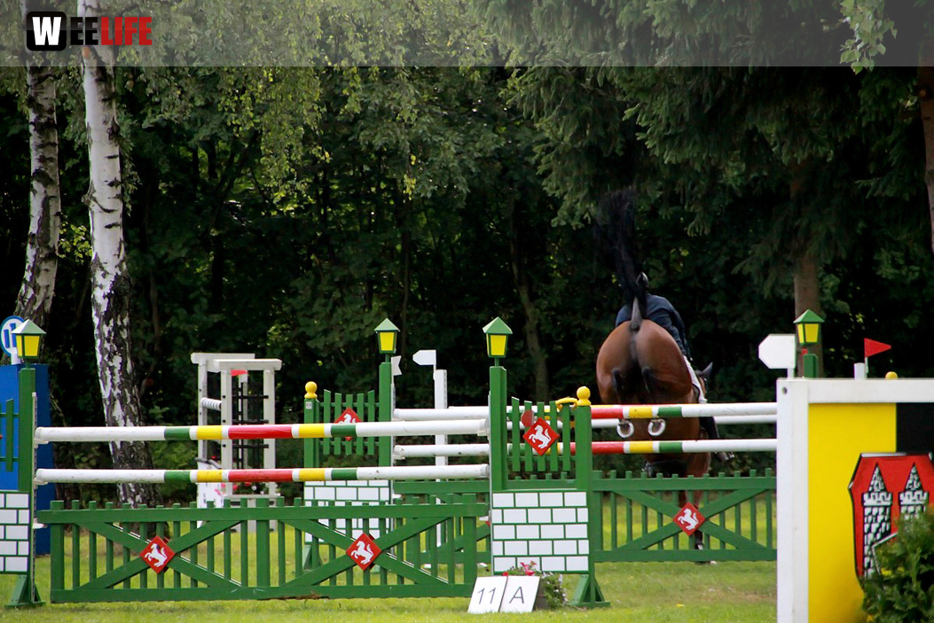 Hofer Springtage 2014