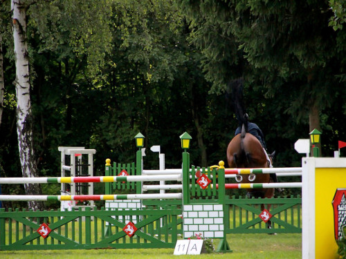 Hofer Springtage 2014 – Foto 83