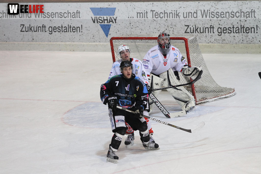 Selber Wölfe - EV Regensburg