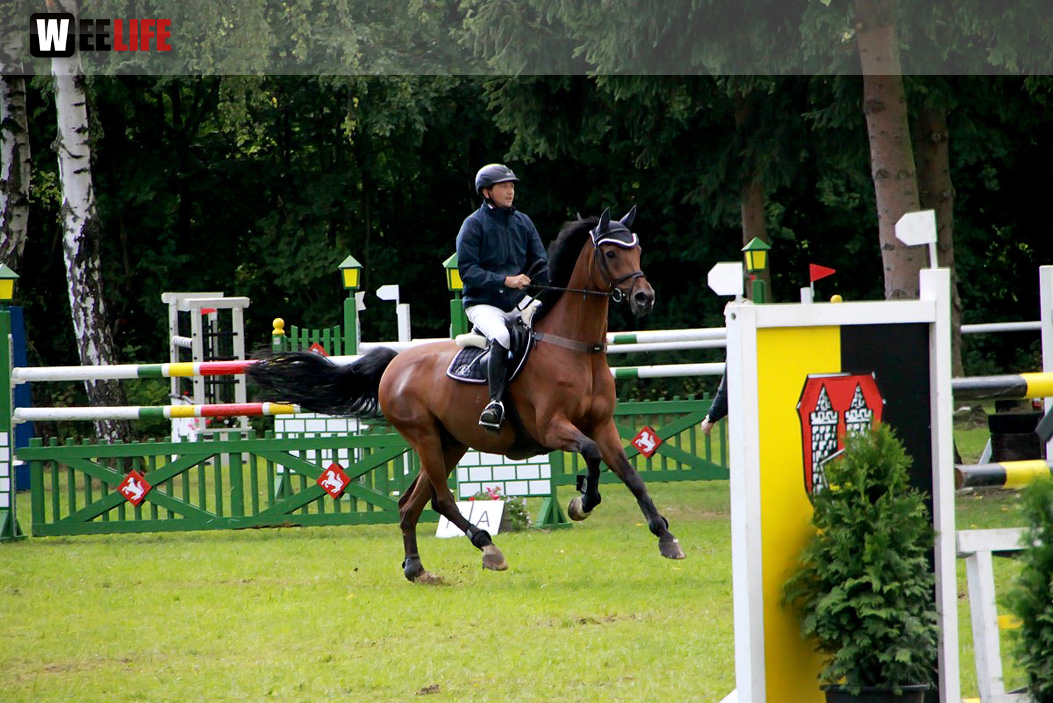 Hofer Springtage 2014
