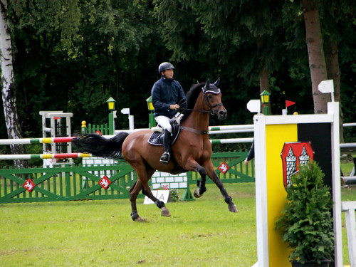 Hofer Springtage 2014 – Foto 85