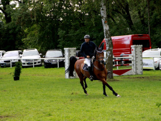 Foto 98903 im Album