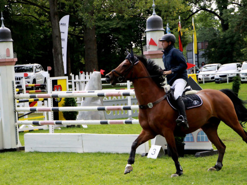 Hofer Springtage 2014 – Foto 88