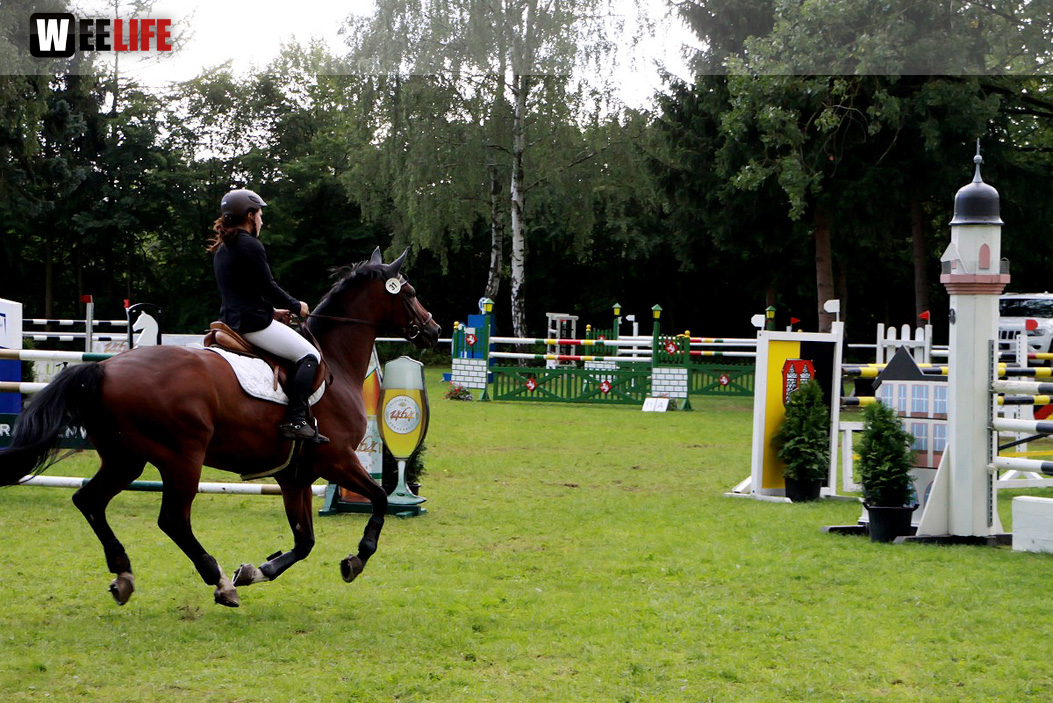 Hofer Springtage 2014