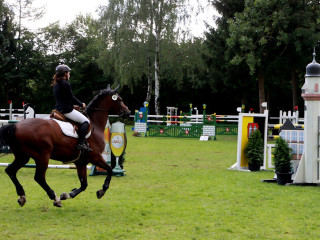 Foto 98908 im Album