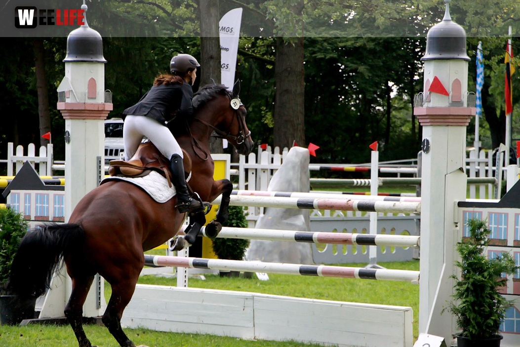 Hofer Springtage 2014