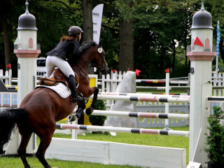 Foto 98909 im Album