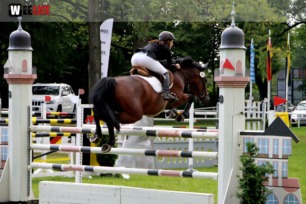 Hofer Springtage 2014