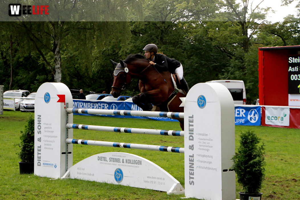 Hofer Springtage 2014