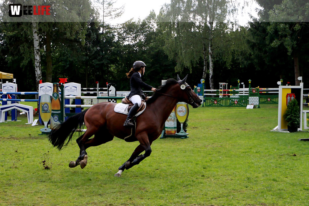 Hofer Springtage 2014