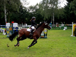 Foto 98914 im Album