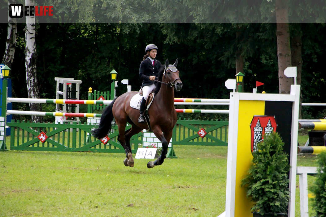Hofer Springtage 2014